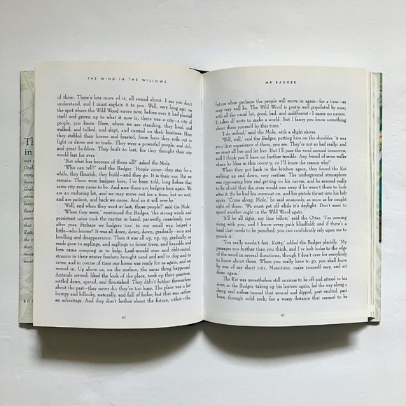 The Wind in the Willows  Kenneth Grahame, Hardcover Illustrations Helen Ward - Picture 7 of 9